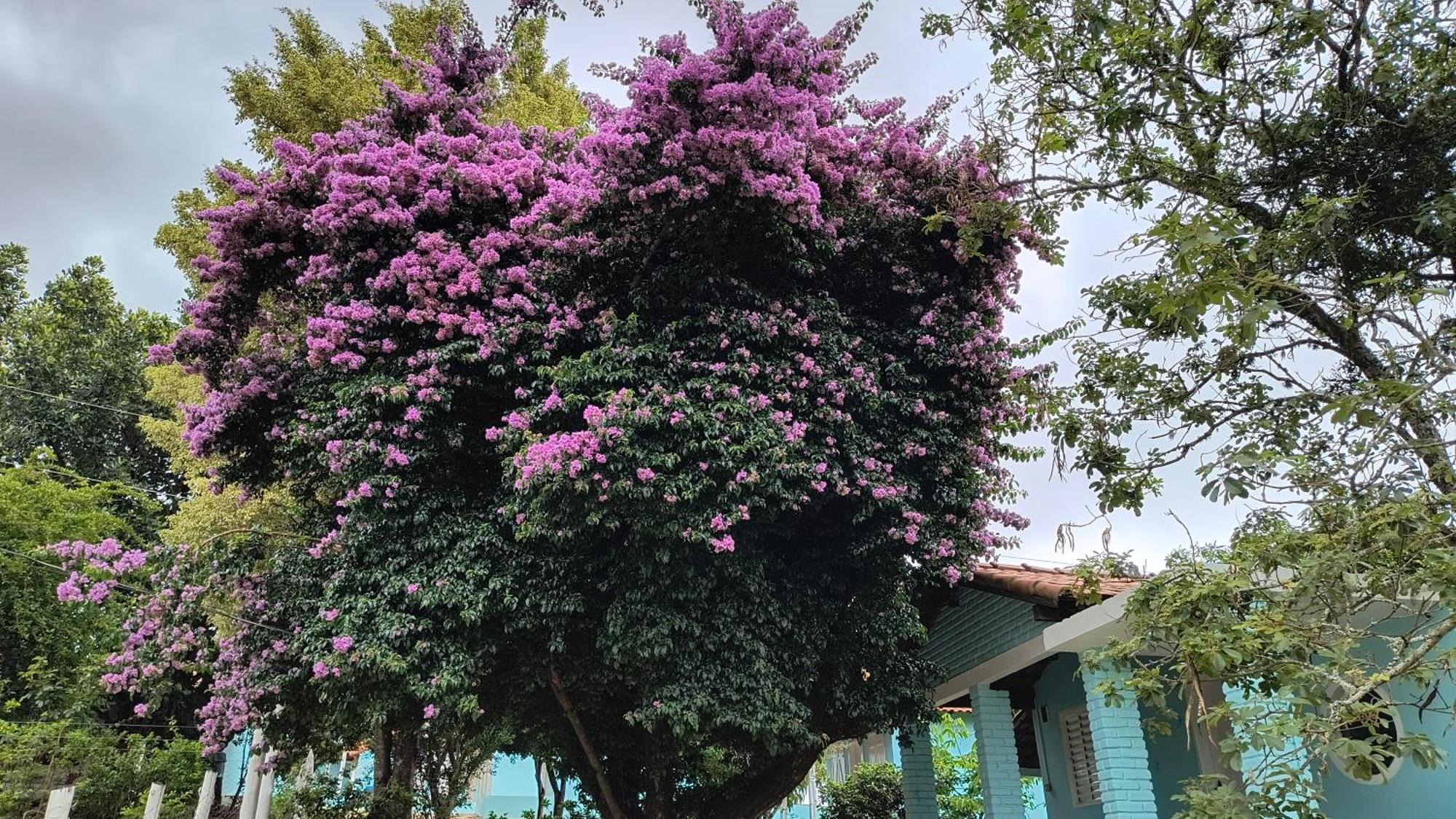 São Tomé das Letras Pousada Recanto Do Sossego酒店 外观 照片