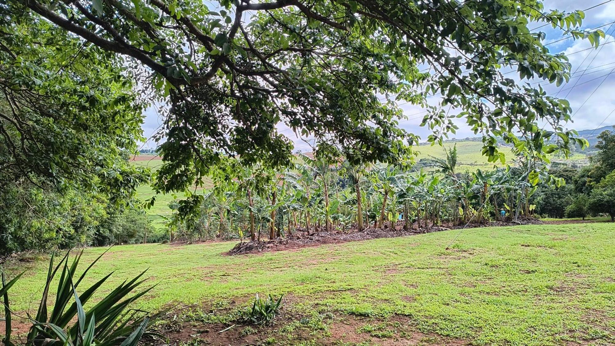 São Tomé das Letras Pousada Recanto Do Sossego酒店 外观 照片