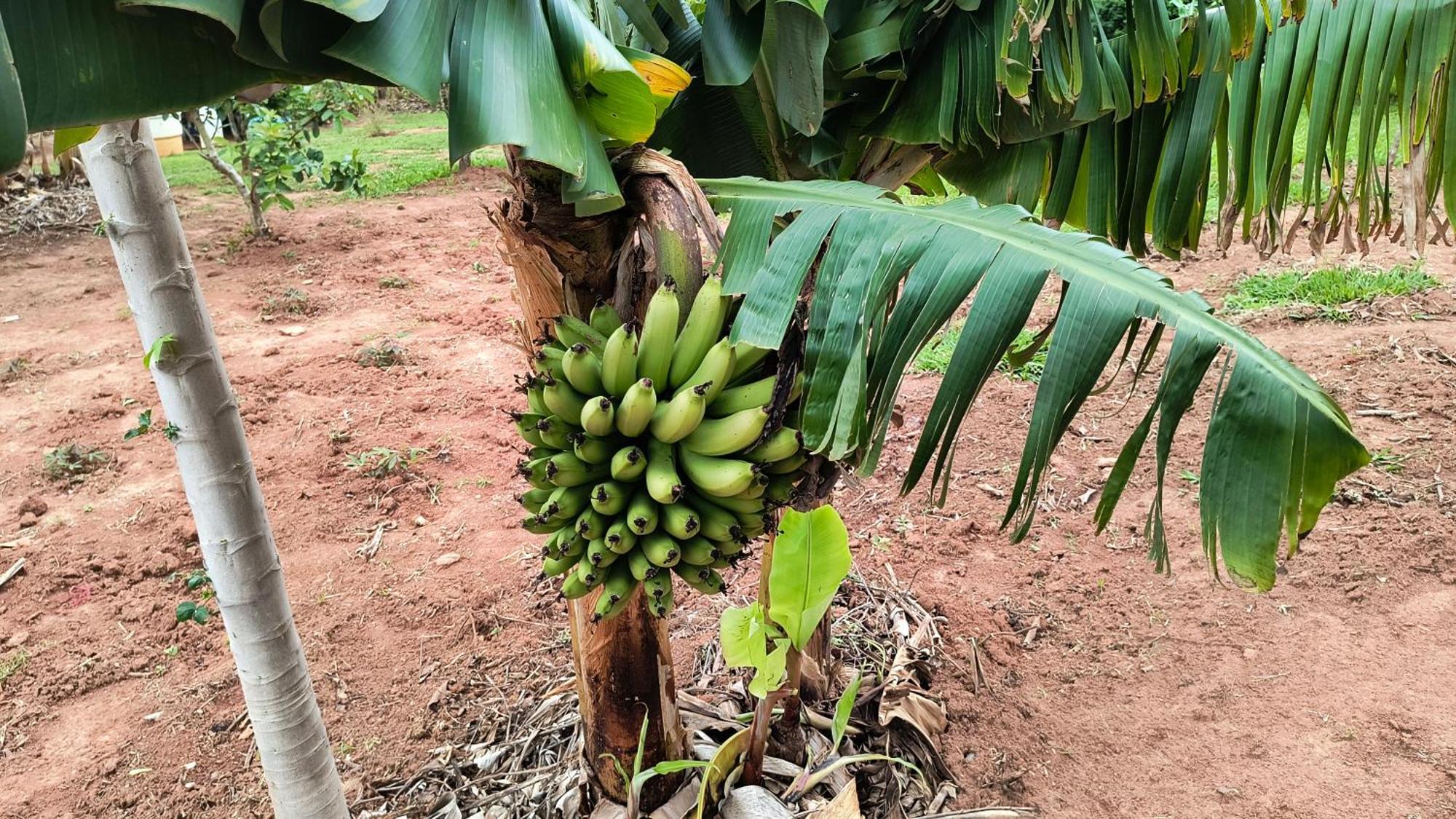 São Tomé das Letras Pousada Recanto Do Sossego酒店 外观 照片