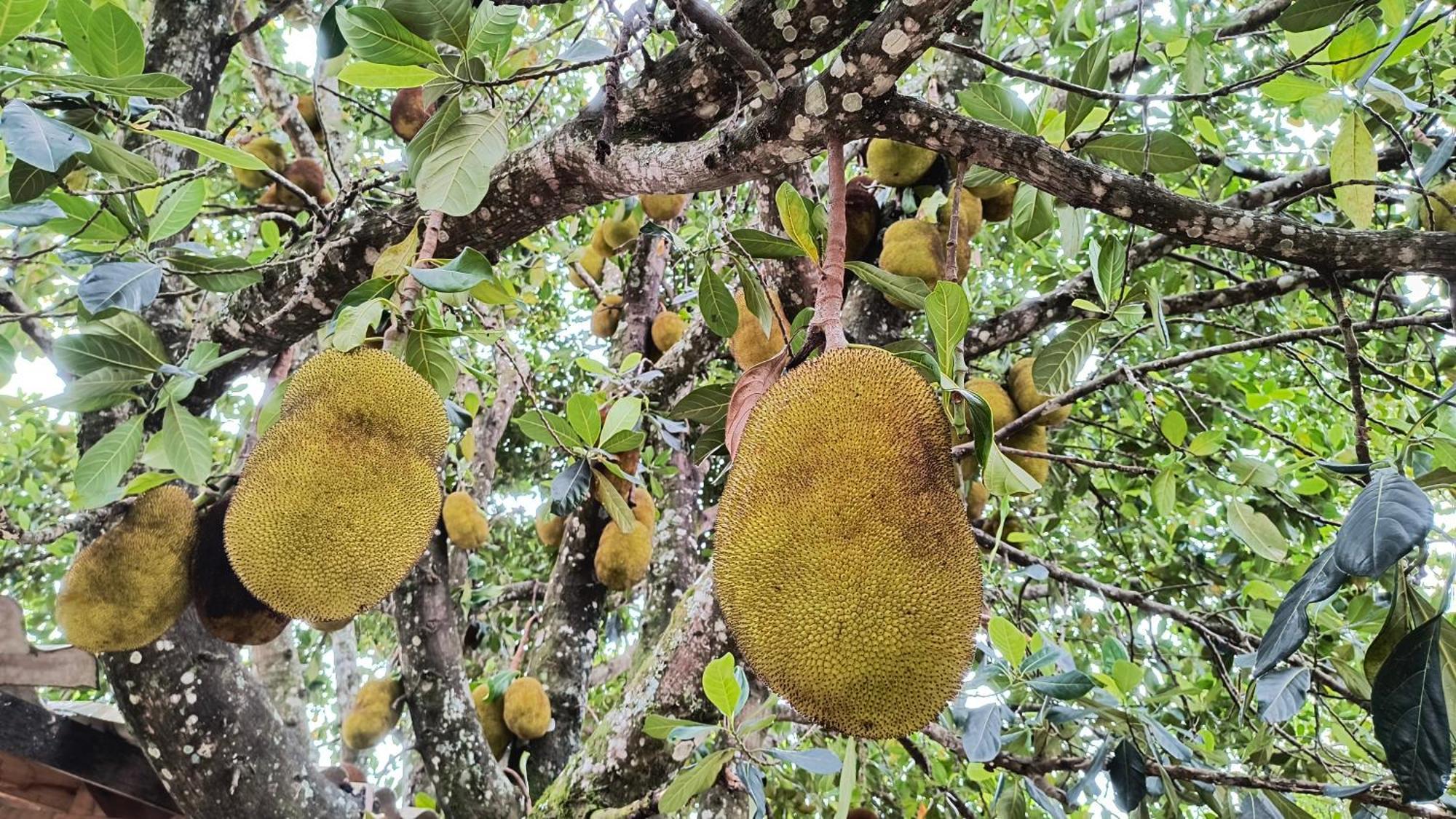 São Tomé das Letras Pousada Recanto Do Sossego酒店 外观 照片