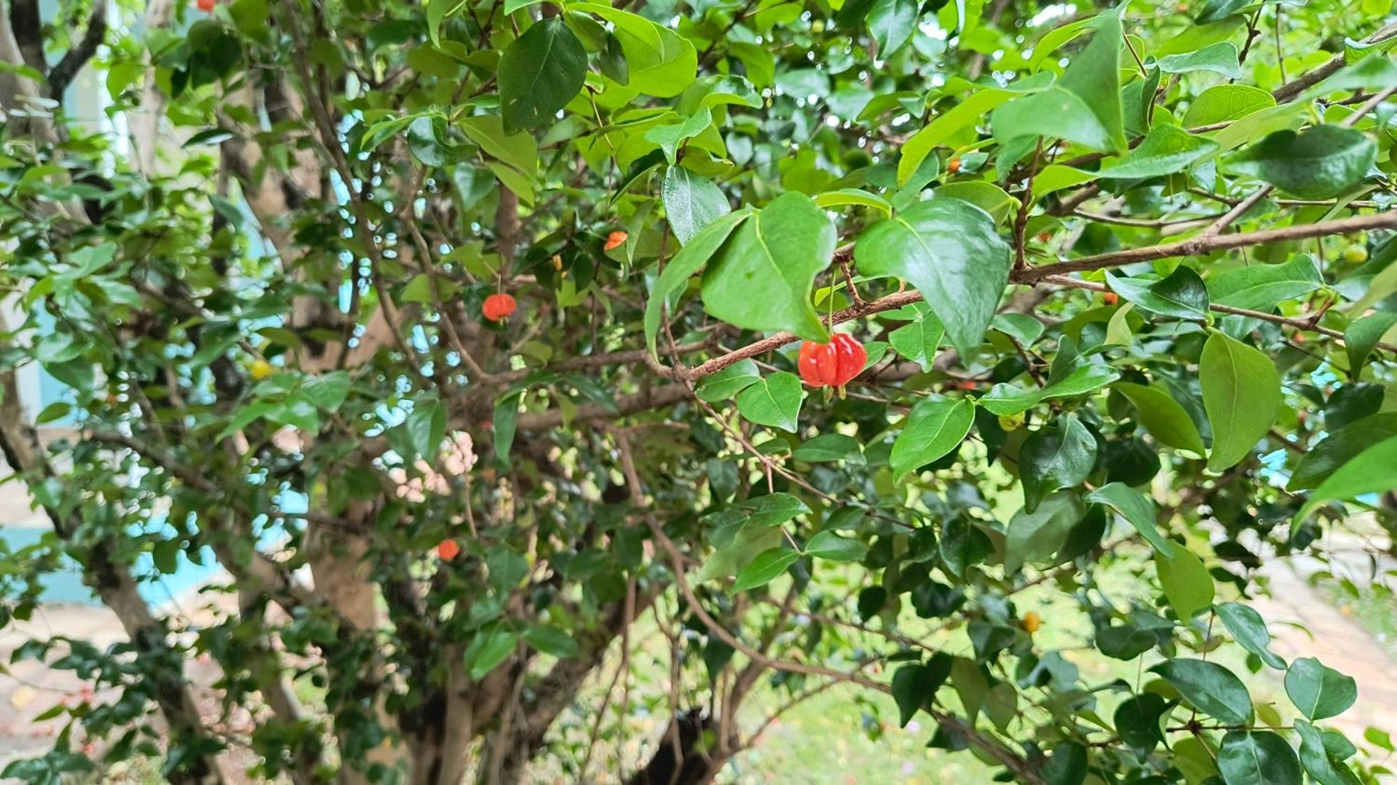 São Tomé das Letras Pousada Recanto Do Sossego酒店 外观 照片