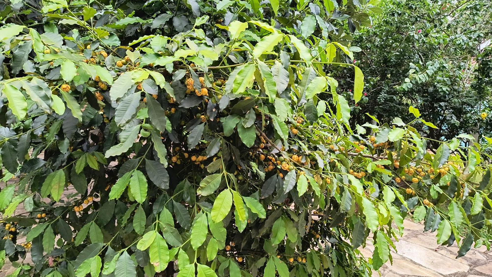 São Tomé das Letras Pousada Recanto Do Sossego酒店 外观 照片